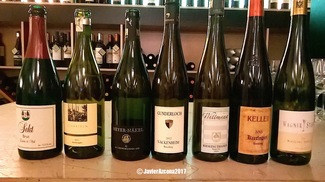 Rheinhessen, Ahr y Baden by Juancho Asenjo