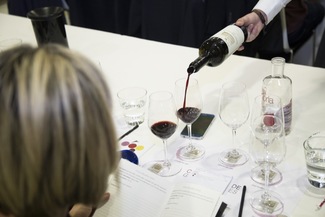 Cata vertical de Grans Muralles: Bodegas Torres