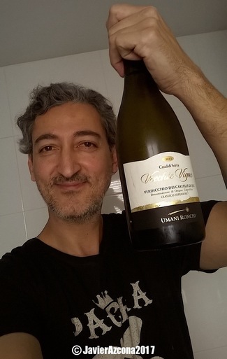 Casal di Serra Verdicchio Castell Di Jesi 2013