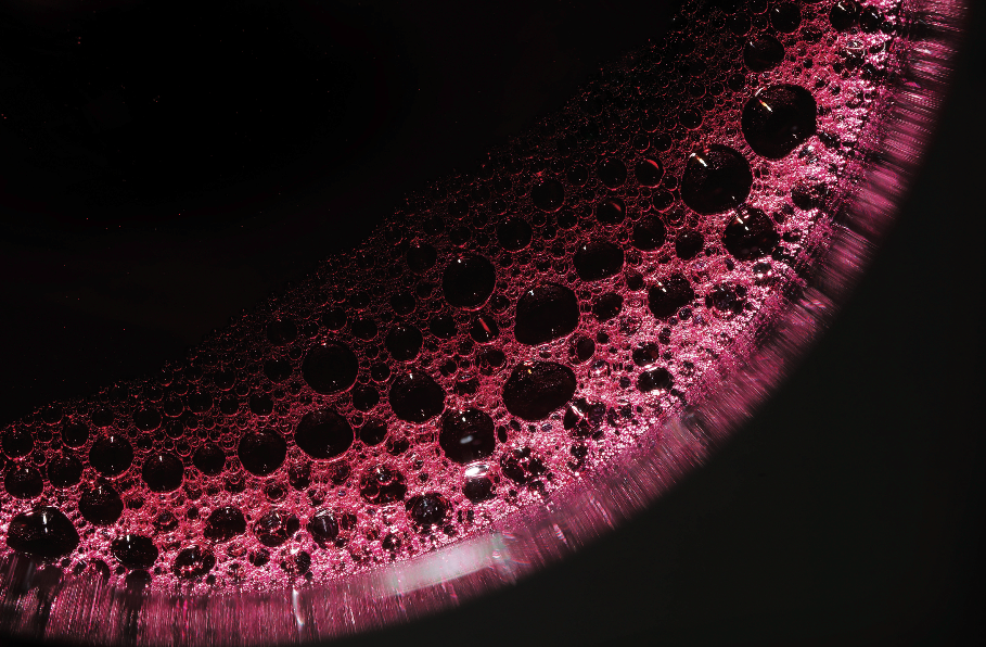 Querida Maceración Carbónica... VINO PRIMER 2017