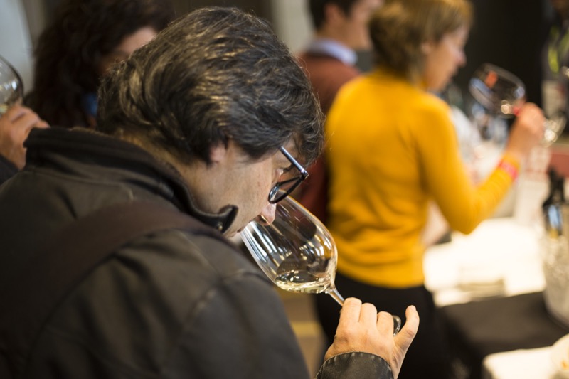 Verema Decanta Portugal 2017