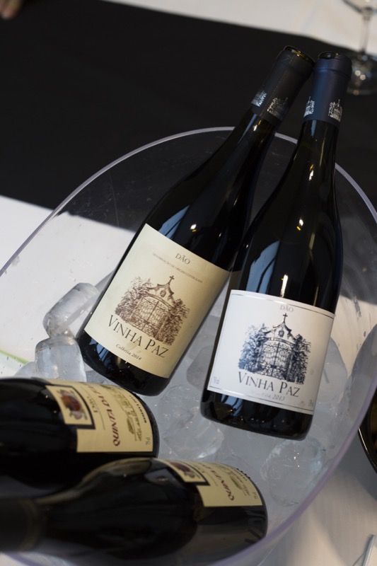 Verema Decanta Portugal 2017