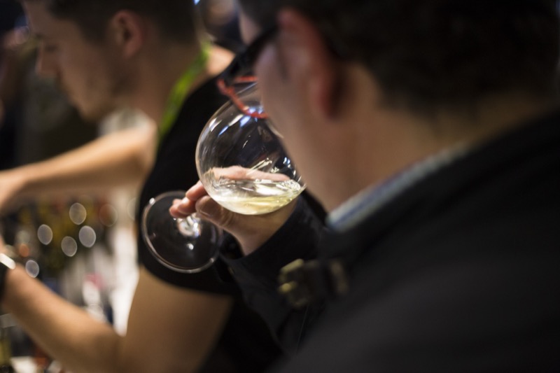 Verema Decanta Portugal 2017