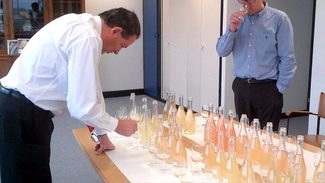 Champagne sin Añada