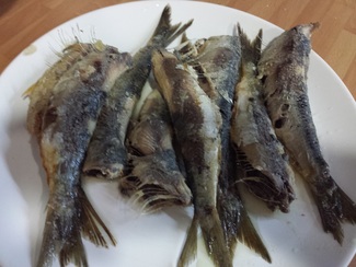 Las sardinas