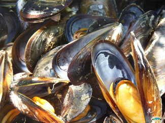 5 sencillas recetas con vino 