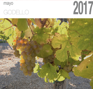 Como agua de mayo con una godello entre manos