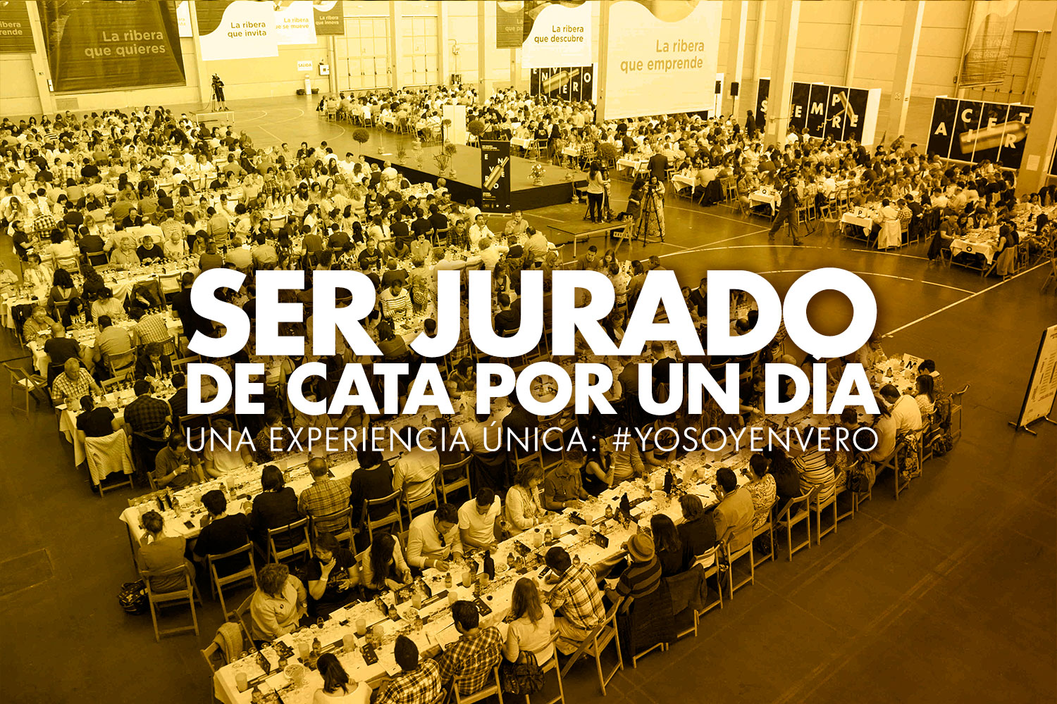 Ser jurado de cata por un día  Una experiencia única: #YoSoyEnvero 