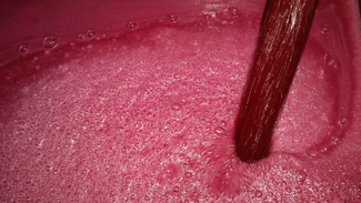 La extracción del color en el vino tinto