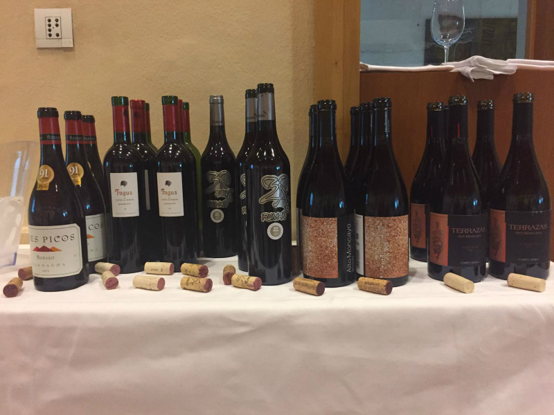 Vinos de la cata de Campo de Borja