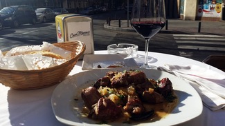 señorio nava roble 2014