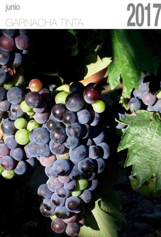 Por San Juan, una garnacha probarás