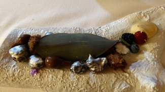 Postre : Ficus