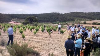 LaFou Celler celebra su 10º aniversario con una cata exclusiva de antiguas añadas