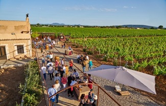 Jornada vinícola de Bodegas José L.Ferrer para presentar sus nuevas añadas 