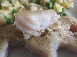 Exquisita corvina