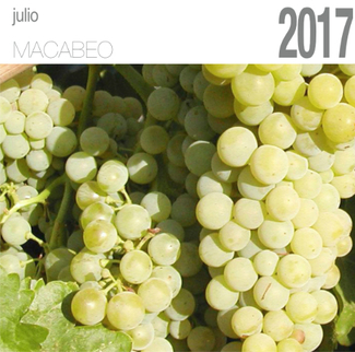 En julio, date un respiro con la macabeo