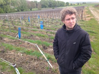 Revolution Champanoise