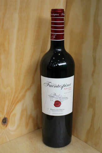 Fuentespina Seleccion 2013