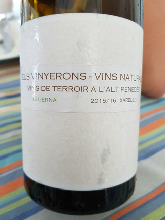 Els Vinyerons Lluerna 2015/16