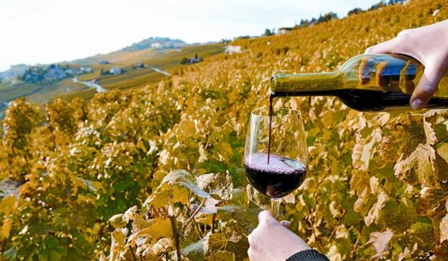Vino Chino