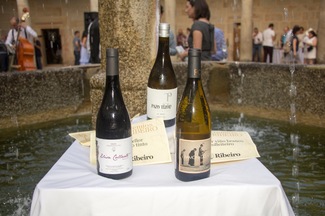 Gala de los Premios D.O. Ribeiro: Esencia Galega