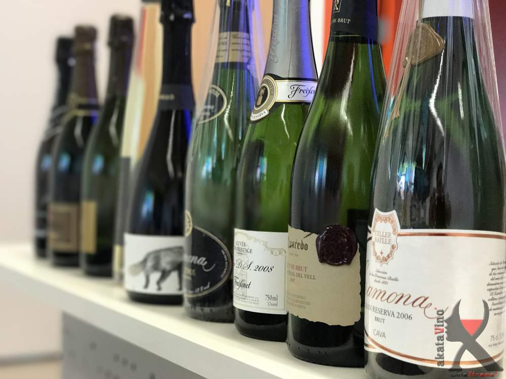 Cata de Cavas Premium y Cavas de Paraje