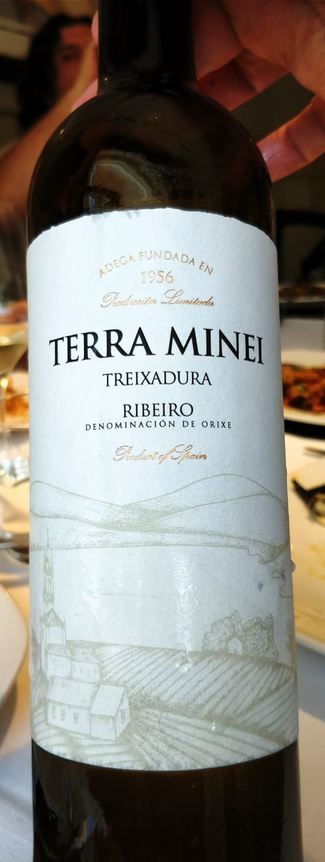 Terra Minei Treixadura 2016
