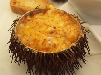 Revuelto de erizos