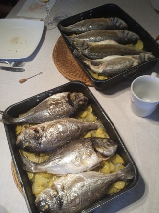 Doradas y Lubinas