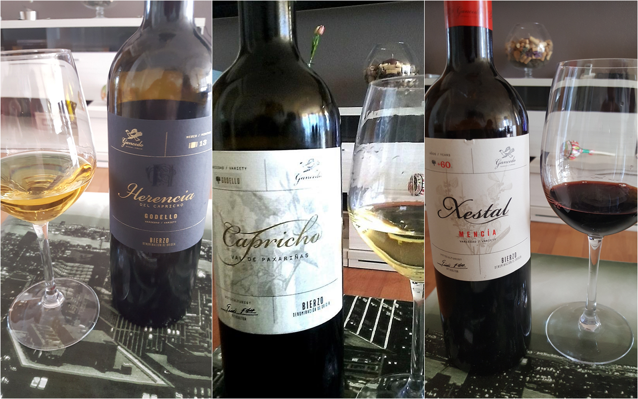 El Bierzo Según Gancedo