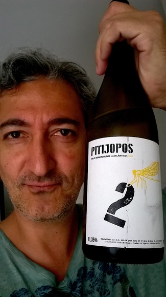 Pitijopos 2 vol. nº2 2015