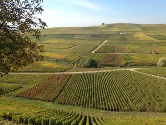 ¿Sabes que son los Coteaux Champenois?