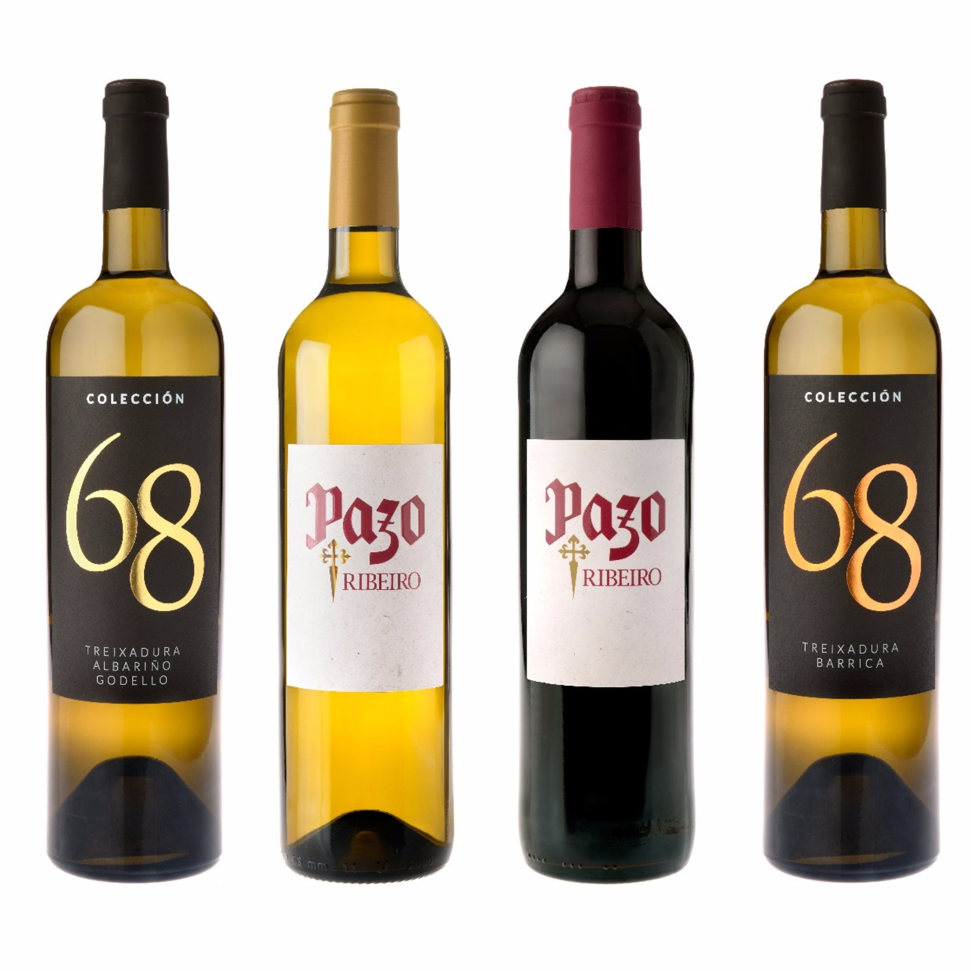 Viña Costeira actualiza su imagen