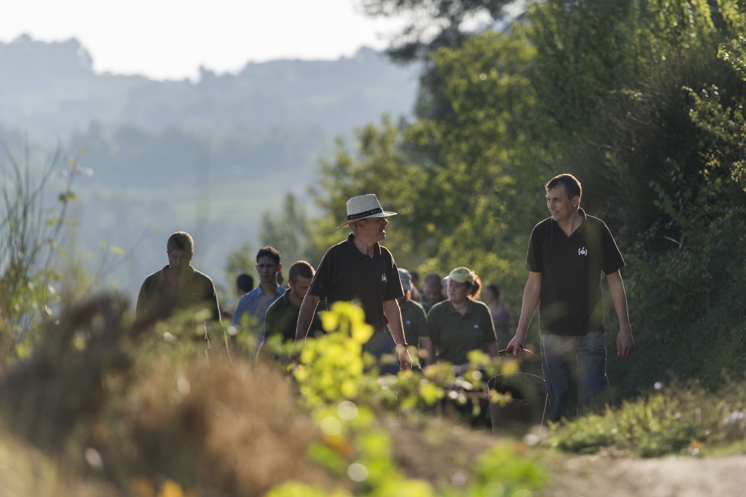 Vendimia 2017: La más temprana de la historia en Raventós i Blanc