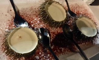 Erizos de mar con huevo poché