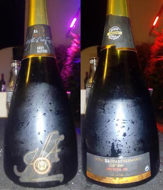 Vinya d'en Ferran BNGR 2008