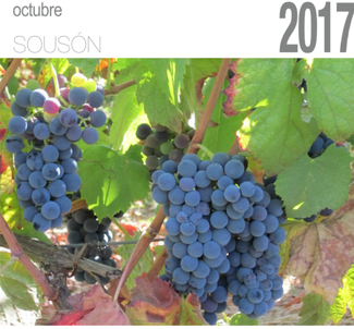 Un octubre sabrosón con la variedad Sousón