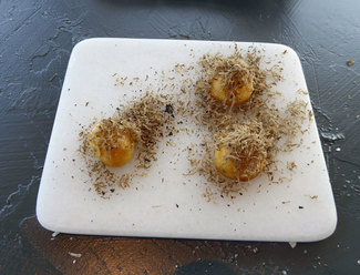 Brioche de trufa