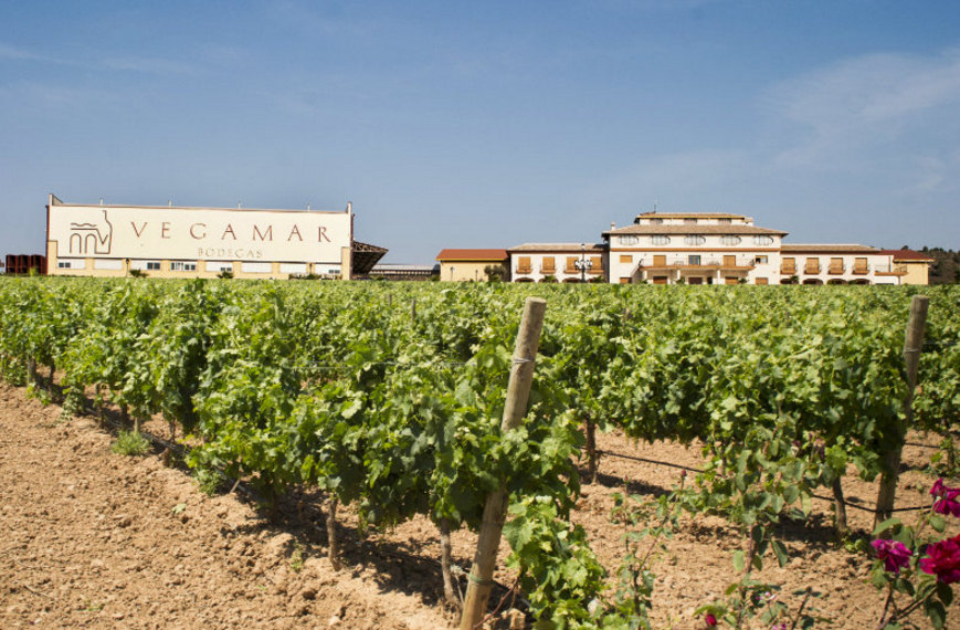 Vegamar en el top 100 mundial y número 14 en España según la Asociación Mundial de Periodistas y Escritores del Vino