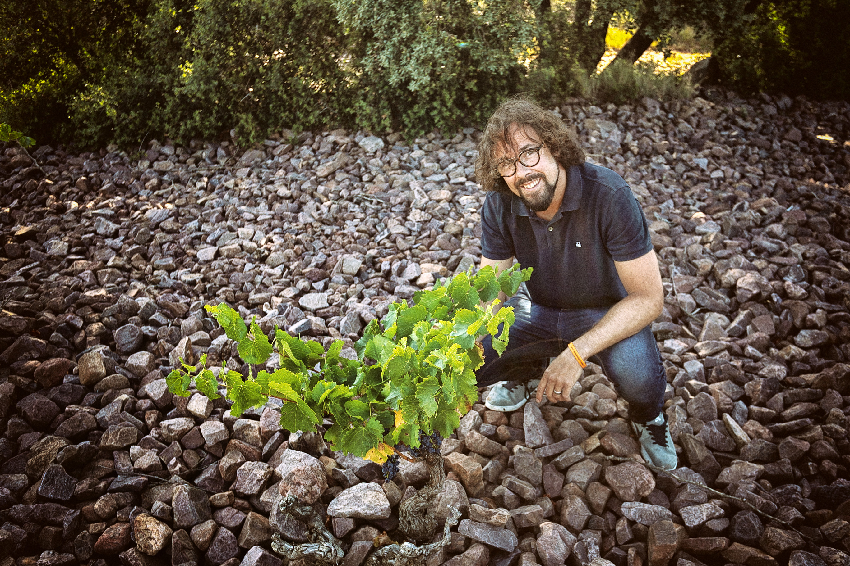 Cuevas de Arom reivindica la garnacha de Ainzón, con el 80% de su producción ya vendida