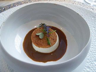 Panacota y achicoria