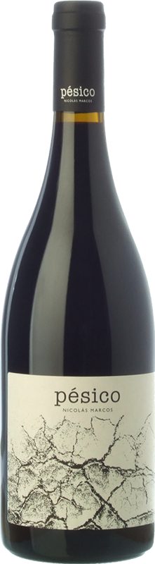 Pésico Nicolás Marcos 2013 (Asturias) 2013