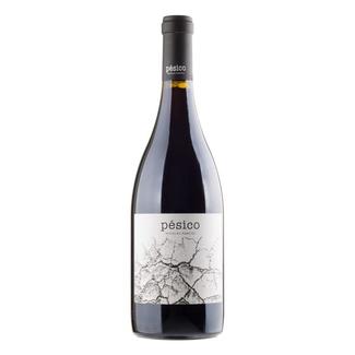 Pésico Nicolás Marcos 2013 (Asturias) 2013