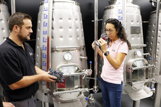 Finca Constancia inaugura una micro-bodega experimental