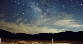 ¿Por qué se lleva a cabo la vendimia nocturna?