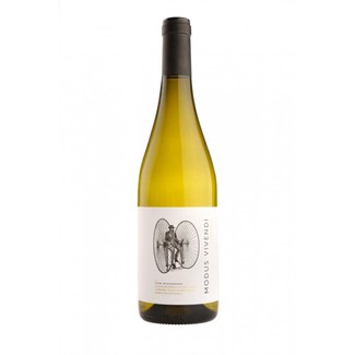 Modus Vivendi Ribeiro 2017