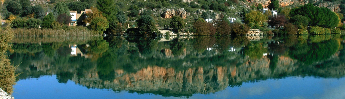 Finca Elez. Los vinos de Manuel Manzaneque en un análisis " Vertical ad hoc "