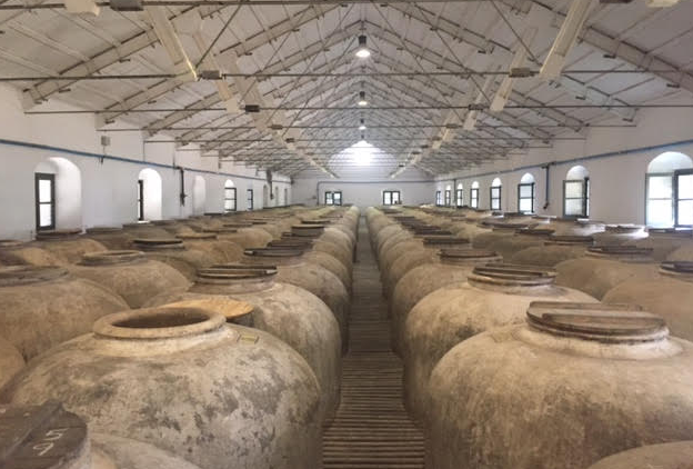Tinajas en la bodega Pérez Barquero
