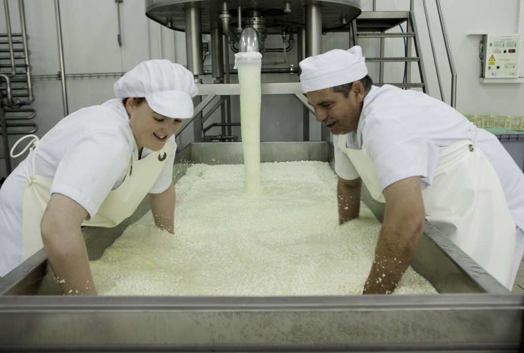 Una quesería de ciudad real se sitúa en la élite mundial del queso